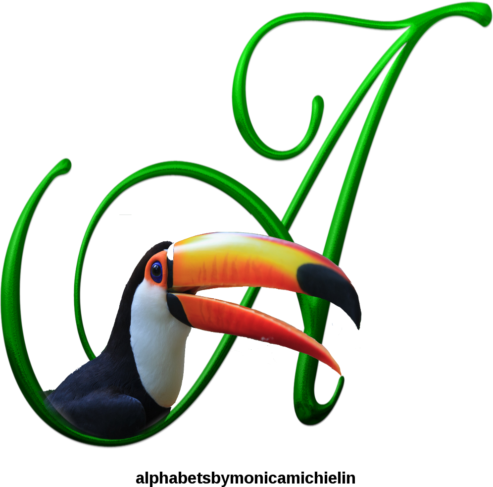 Alfabeto Tucano , Toucan Alphabet - Toucan Clipart (1050x1050), Png Download