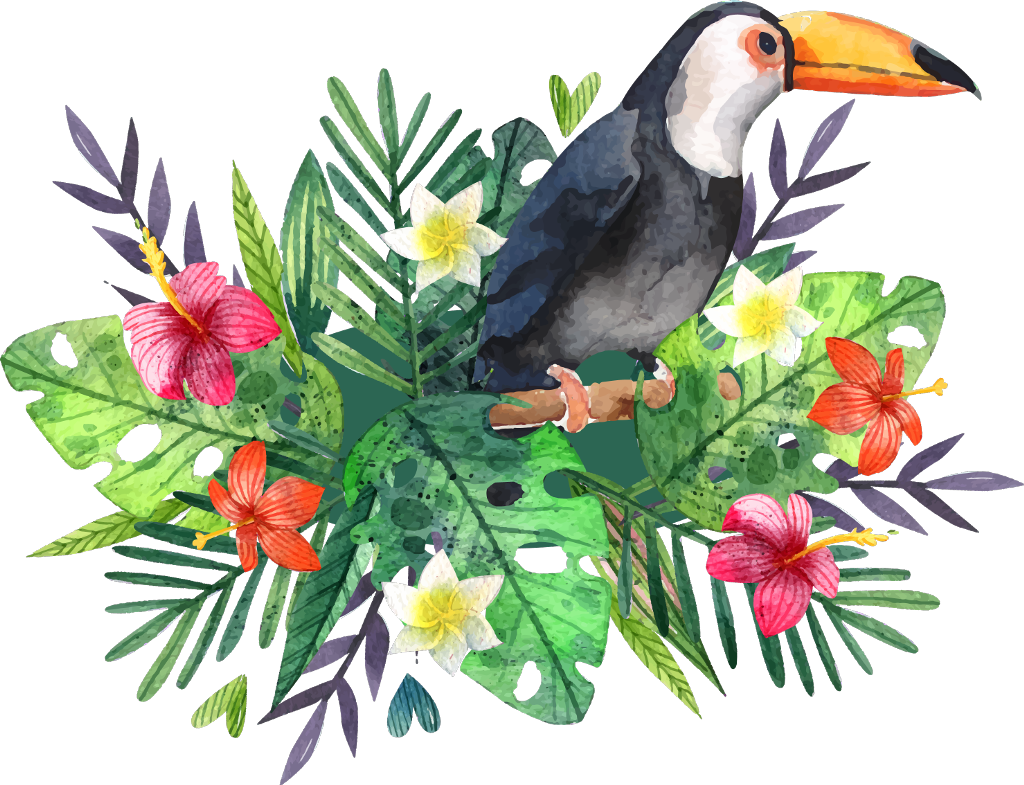 #tucano #tropical #freetoedit Clipart (1024x785), Png Download