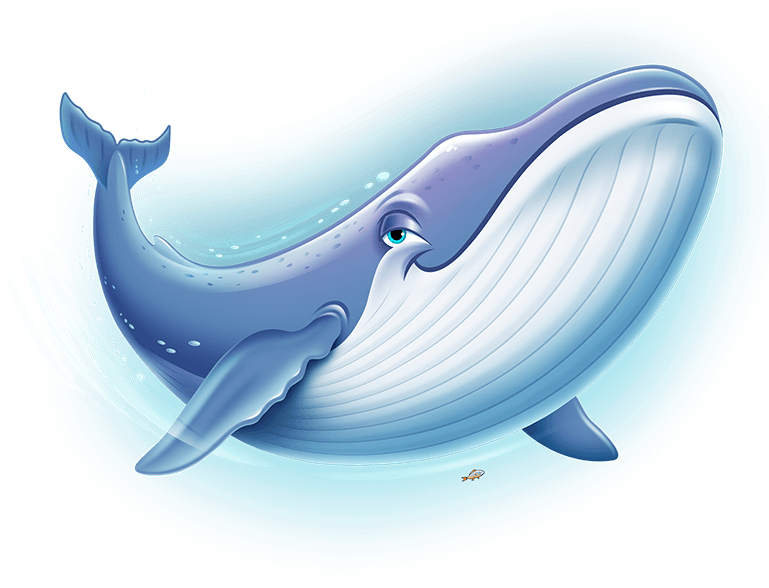 Ocean Commotion - Blue Whale For Kids Clipart (800x640), Png Download