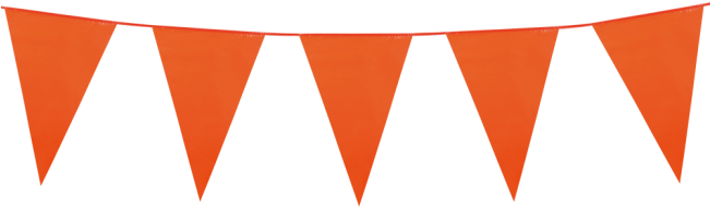 Bunting Flag Png Orange Clipart (650x650), Png Download