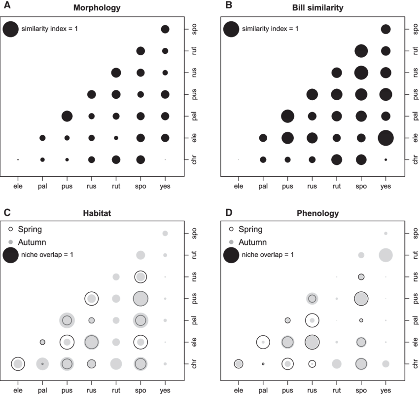 Similarity Of 8 Bunting Species Regarding Morphology - Word Search Rhyming Words Clipart (850x798), Png Download