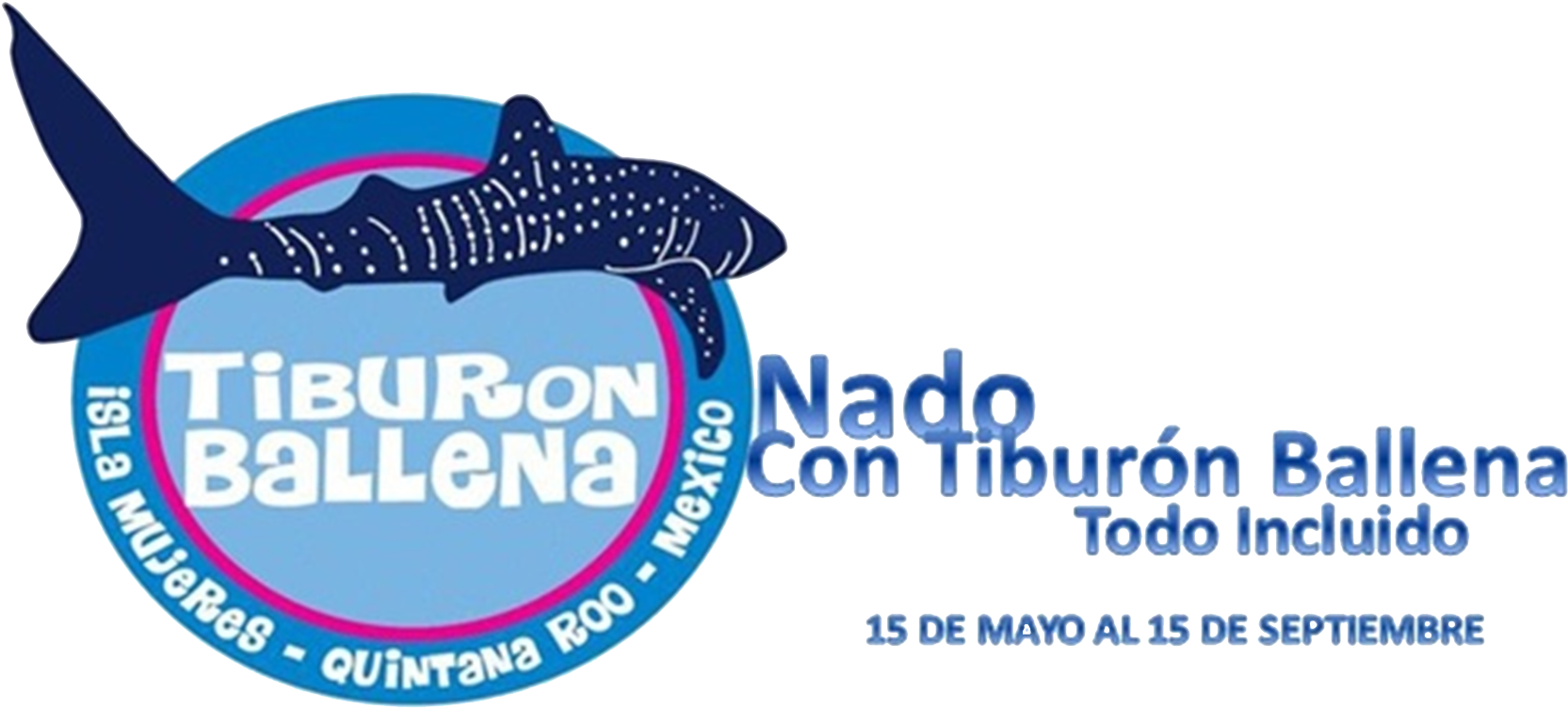 Tiburonballena Trans - - Whale Shark Clipart (1735x769), Png Download