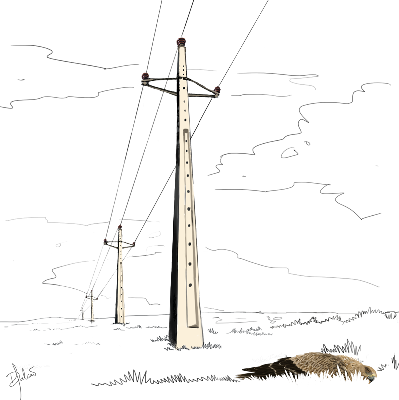 This Is One Of The Main Causes Of Unnatural Mortality - Sketch Clipart (800x801), Png Download