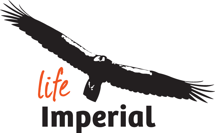 Creation Of The Project's Logo - Life Imperial Clipart (745x463), Png Download