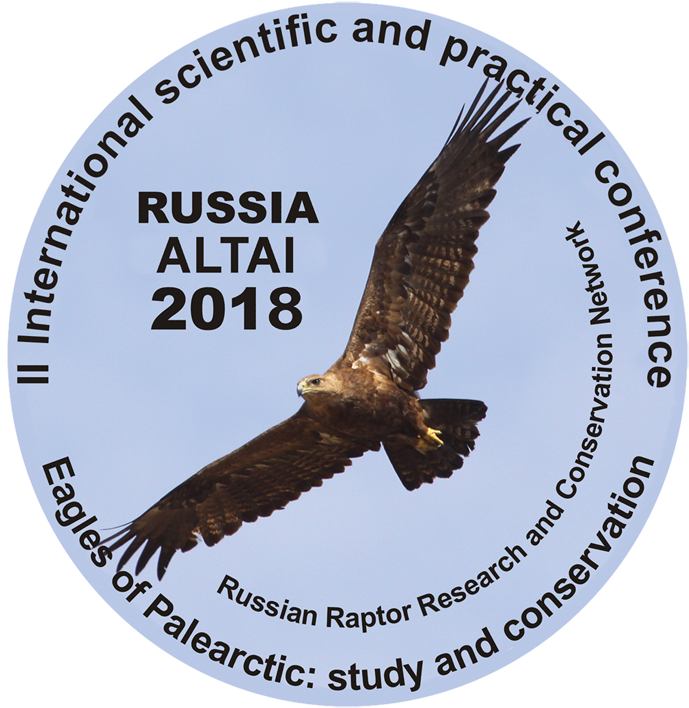 Buzzard Clipart (700x719), Png Download