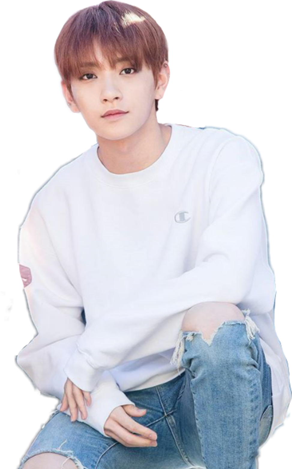 Seventeen Joshua Joshuahong Jisoo Png Jisoo Seventeen - Joshua Seventeen Transparent Background Clipart (973x1565), Png Download