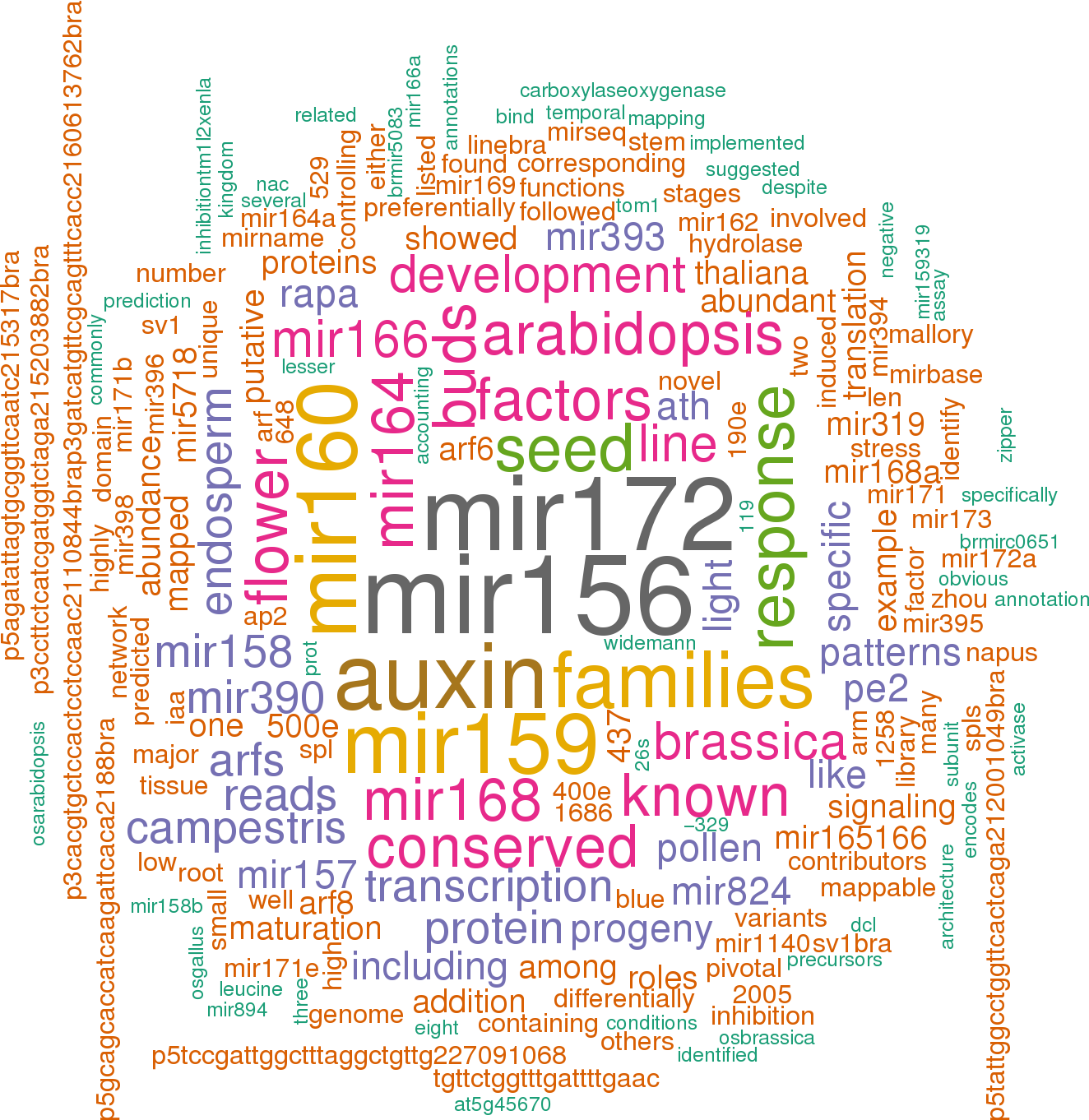 Stem Loop Sequence Bra Mir167b - Friend Word Collage Clipart (1324x1362), Png Download