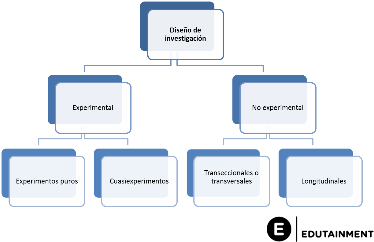 Diseã±o - Organization Clipart (1223x797), Png Download