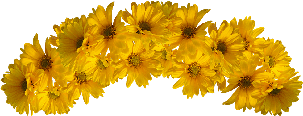 Transparent Flower Crown Png - Yellow Flower Crown Png Clipart (982x376), Png Download