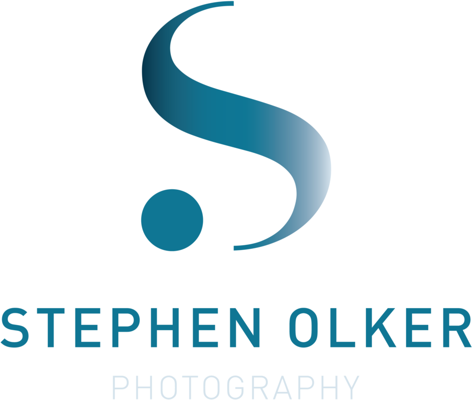 Fairy Wings Png Clipart (1000x863), Png Download