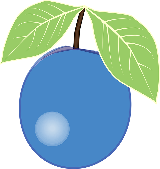 Berries Clipart Blueberry - Blue Berry Clip Art - Png Download (683x720), Png Download