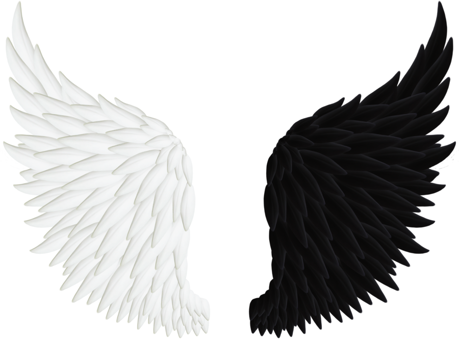 Baby Angel Wings Png - Angel And Devil Wings Png Clipart (900x667), Png Download