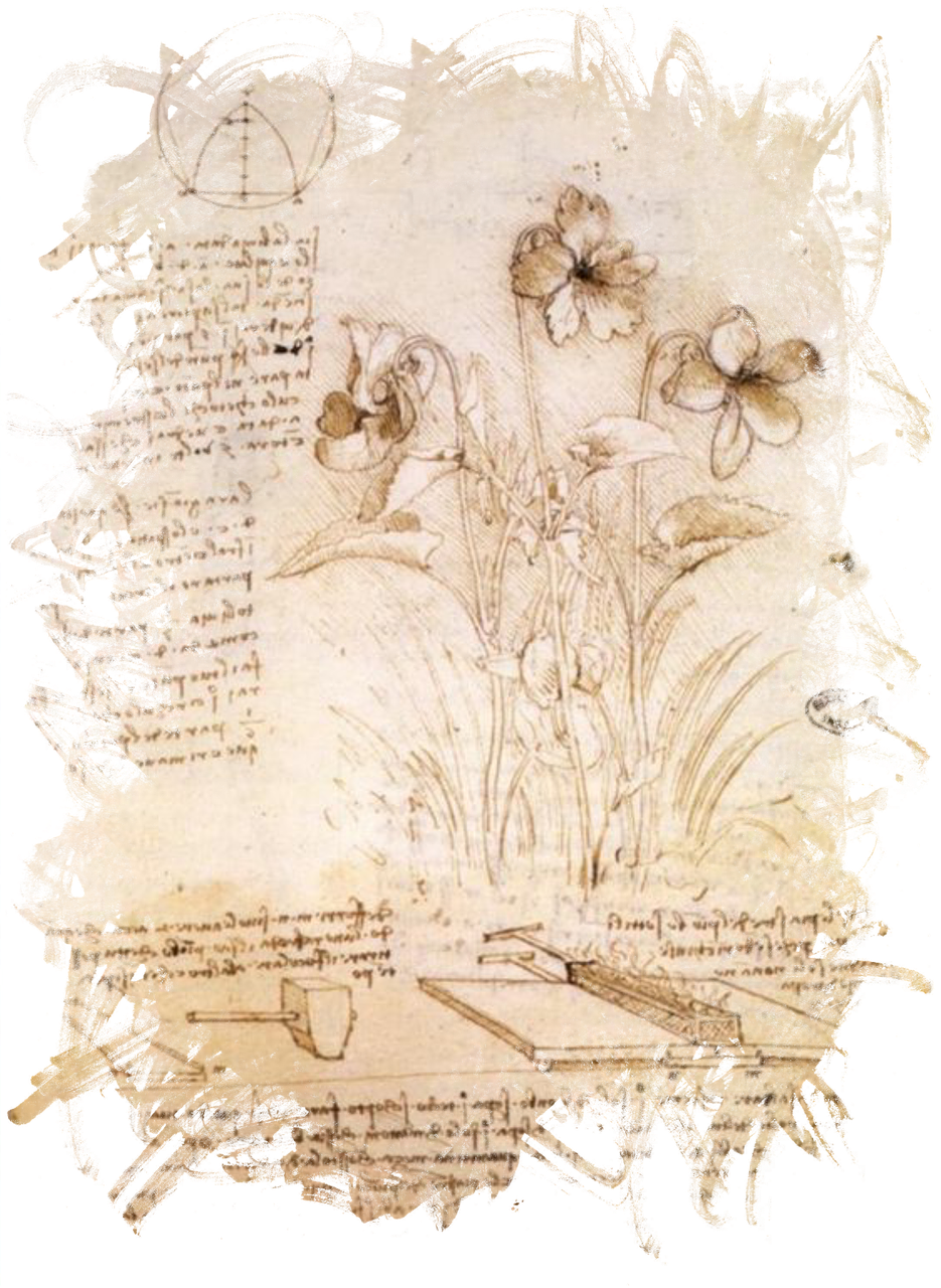 Leonardo Da Vinci,da Clipart (935x1280), Png Download