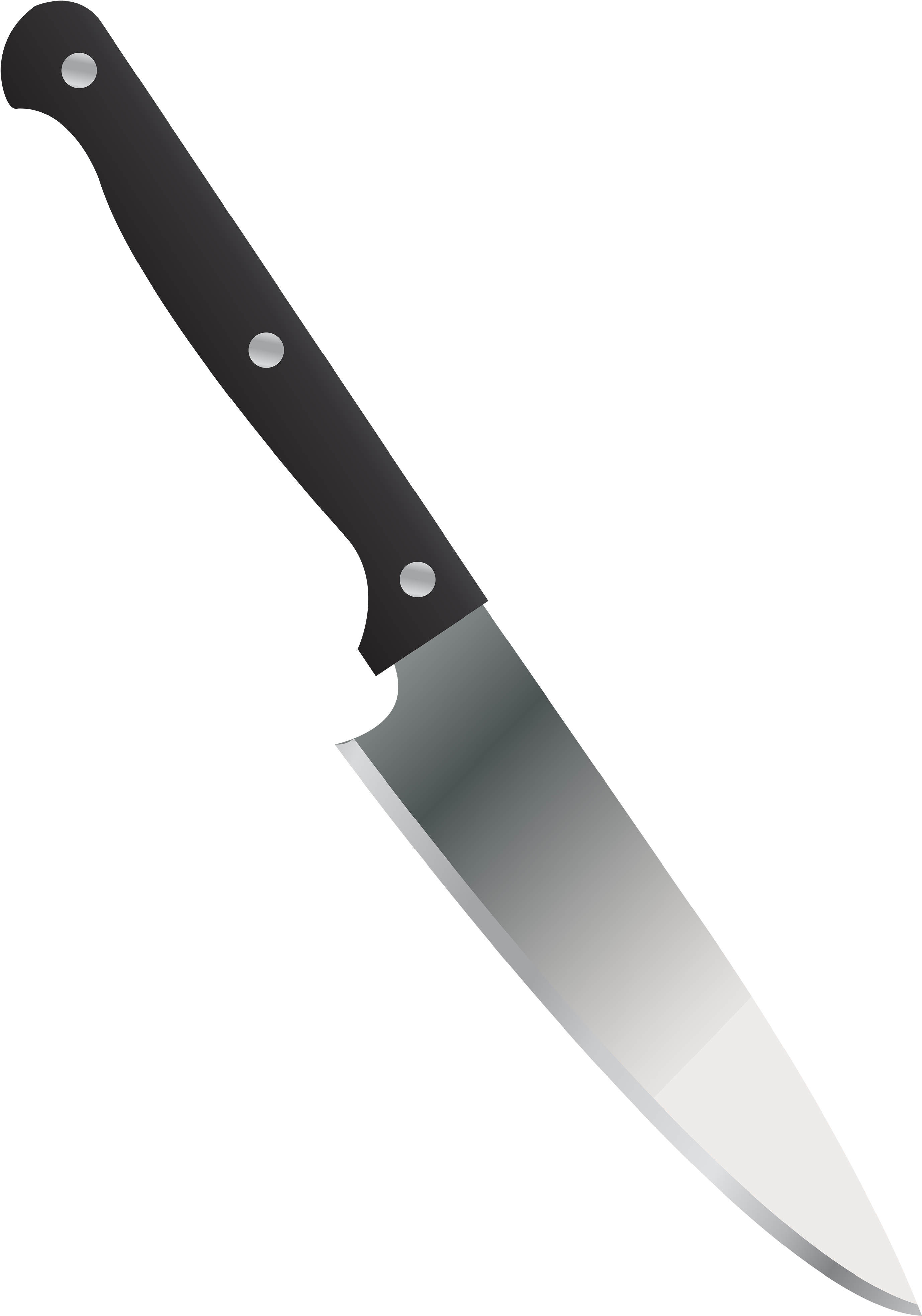 Kitchen Knife Png Clipart Image - Kitchen Knife Transparent (2919x4000), Png Download