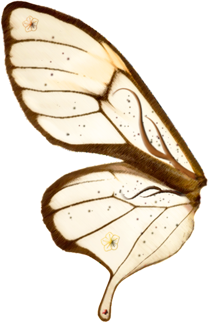 Photoshop Fairy Wings Clipart (667x1023), Png Download