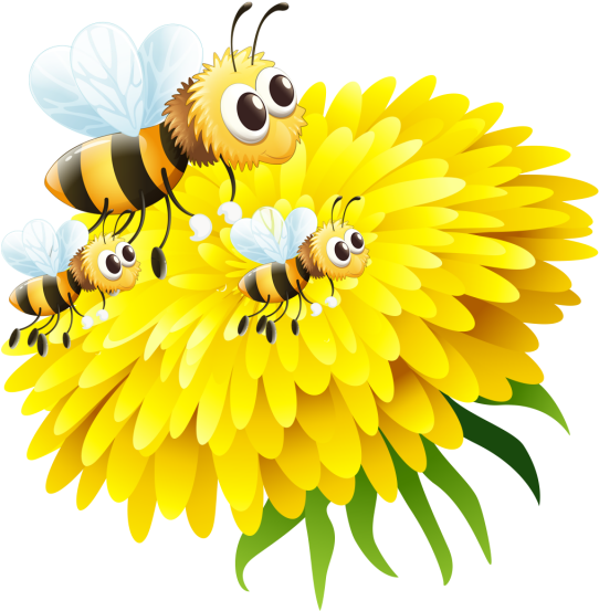 Bee In Flower, Bee, Honey Png And Psd File For Free - Flower And Bee Transparent Background Clipart (640x640), Png Download