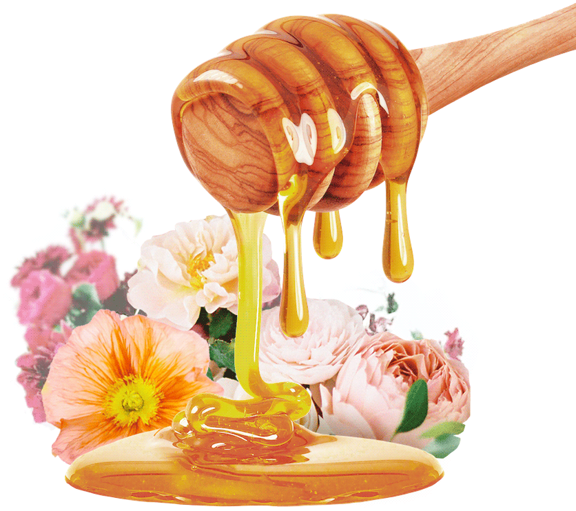 Honey Type Thousand Flowers - Honey Dripping Down Clipart (900x885), Png Download