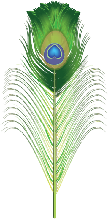 Peacock Brush For Adobe Illustrator Green Png Png Images - Feather Png For Photoshop Clipart (400x971), Png Download