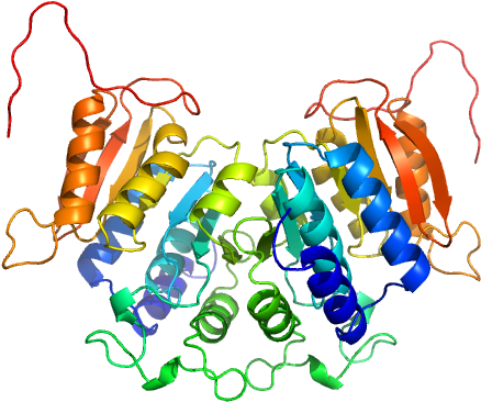 Methyltransferase Domain Protein Modeller Model Clipart (640x480), Png Download