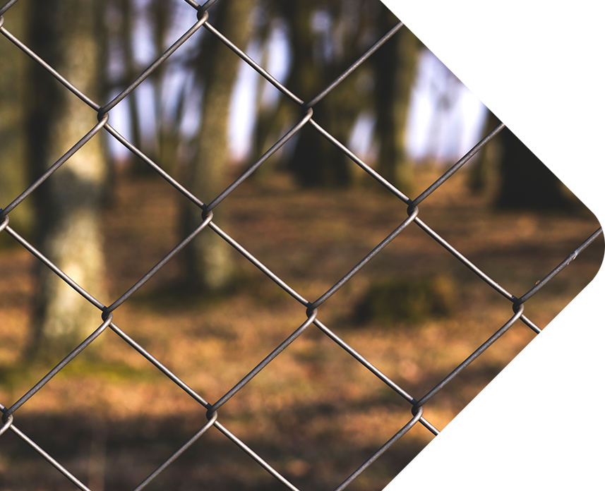 Kelowna Chainlink Fences & Gates About Quality Chain - Chain Link Fences Forest Clipart (857x696), Png Download