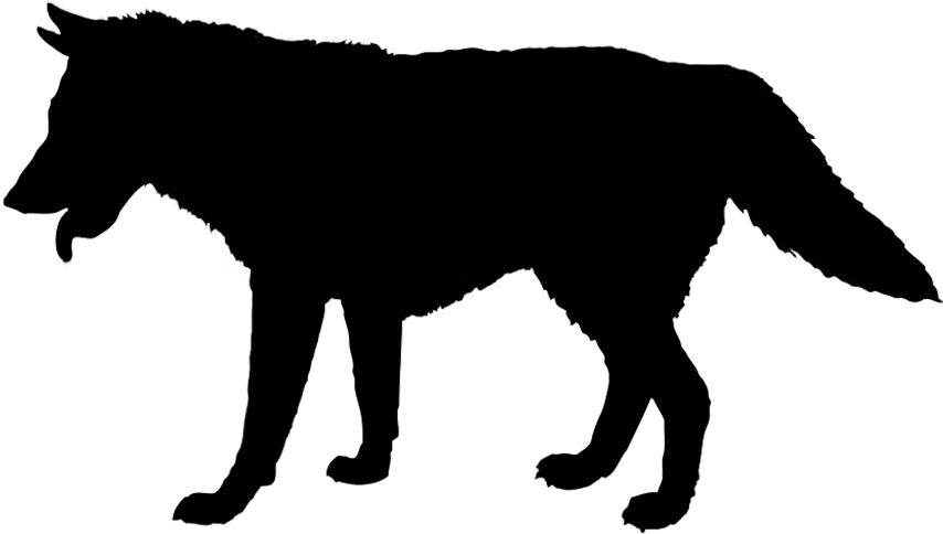 Graphic Black And White Stock Walking Clipart Black - Animal Silhouette Png Transparent Png (886x510), Png Download