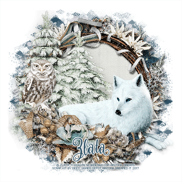 White Wolf - Arctic Fox Clipart (600x600), Png Download