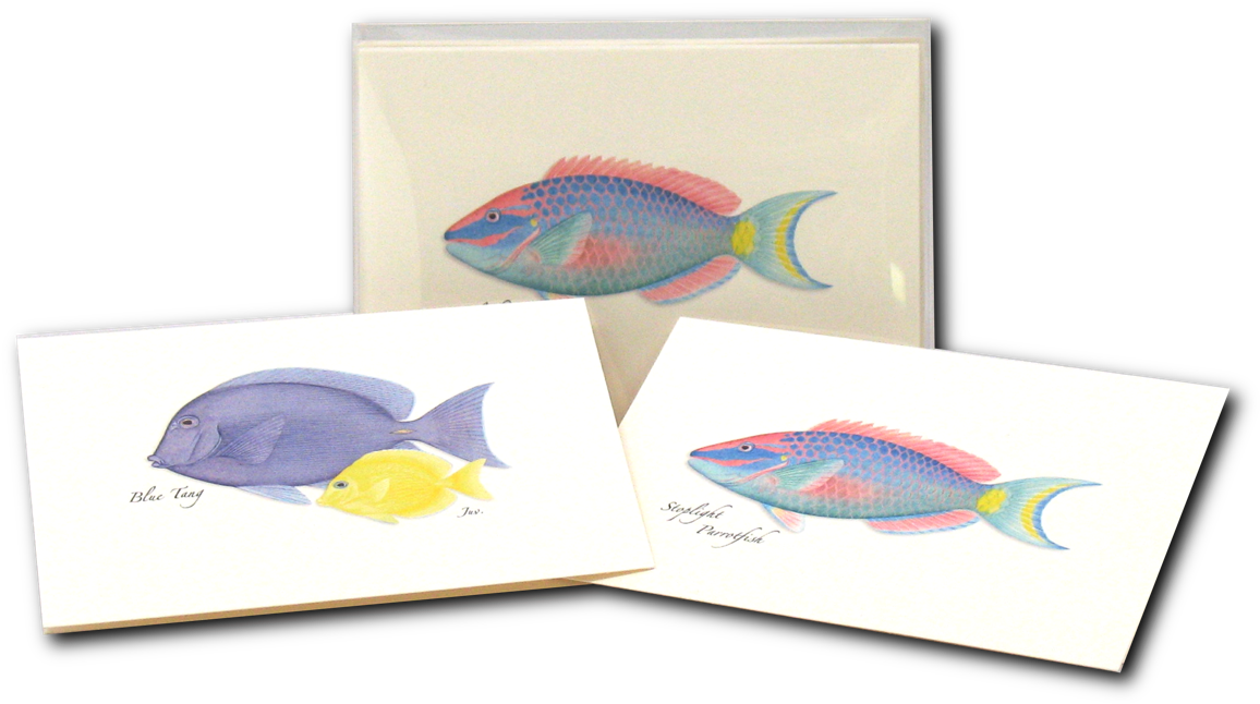 Shopping Cart -  -  - Paper Clipart (1200x1200), Png Download