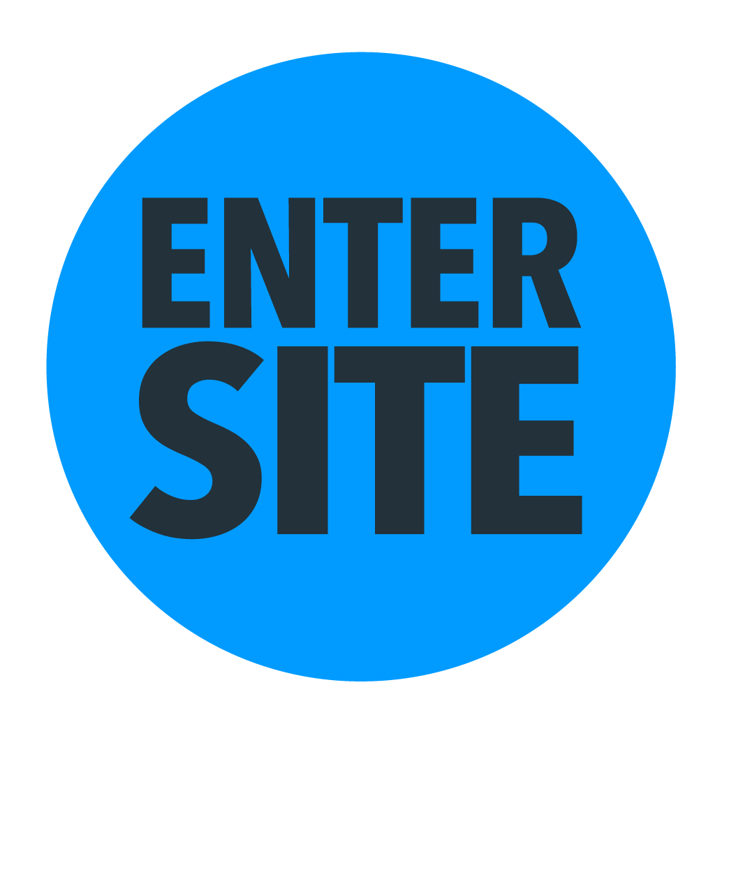 Enter Site Buton - Circle Clipart (1044x1246), Png Download