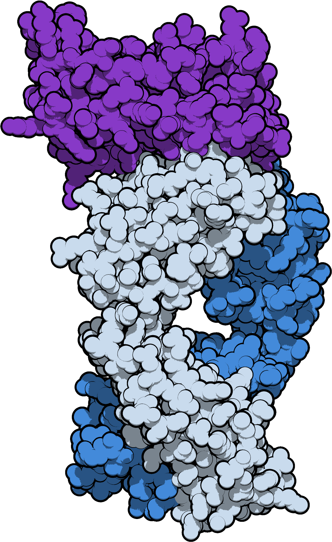 Sifalimumab 4ypg - Grape Clipart (1353x2048), Png Download