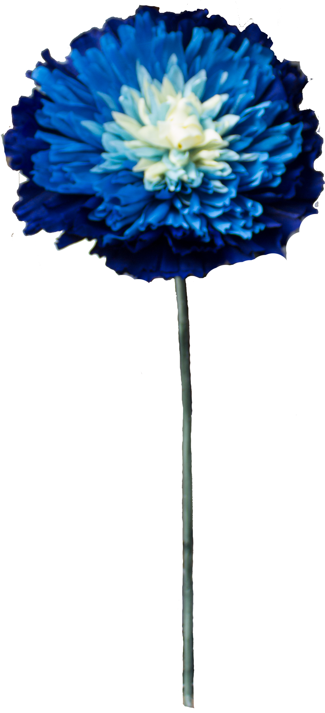 Astra Png - Artificial Flower Clipart (1330x2883), Png Download