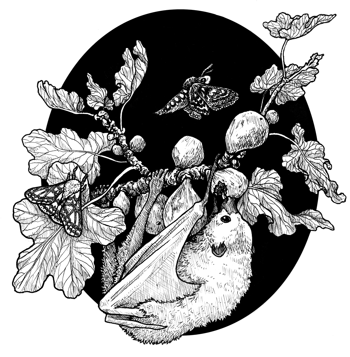 Fig Tree And The Fruit Bat , Png Download - Illustration Clipart (1172x1197), Png Download