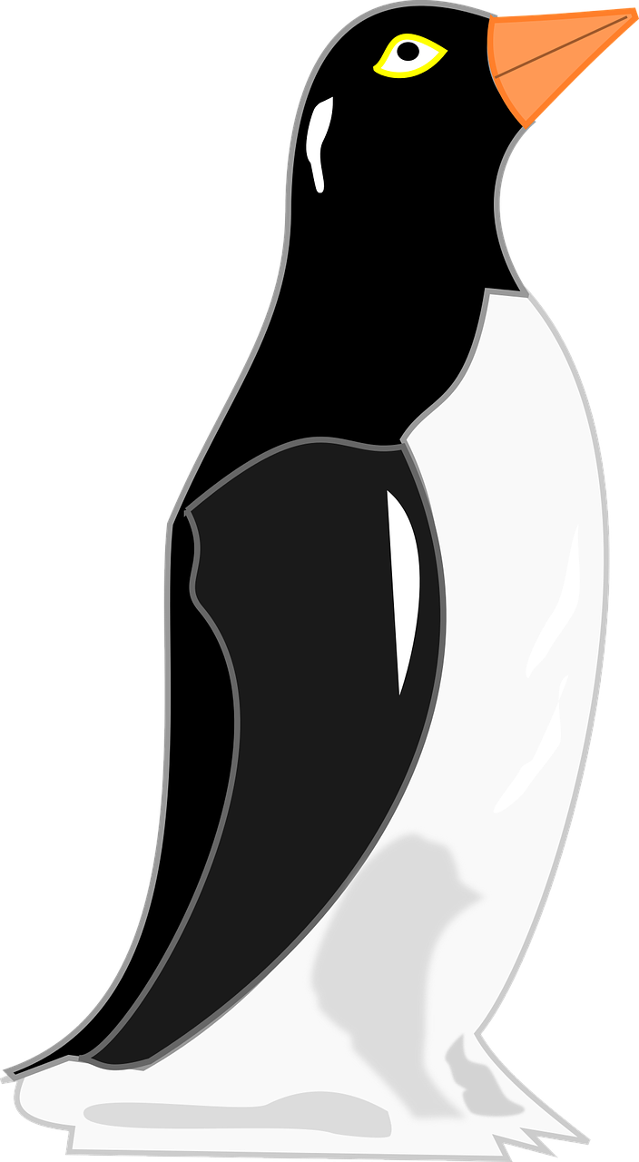 Penguin Pinguim De Geladeira Png Image - Pinguim Png Clipart (704x1280), Png Download
