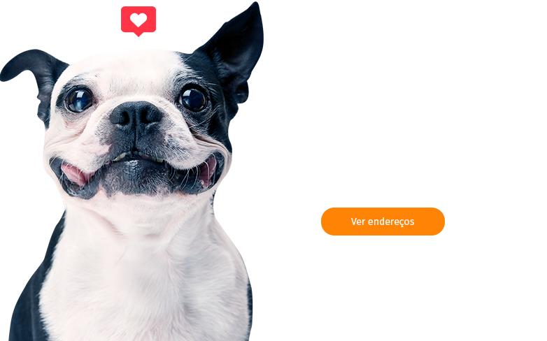 Banner-rotativo01 - Happy Dog White Background Clipart (782x488), Png Download