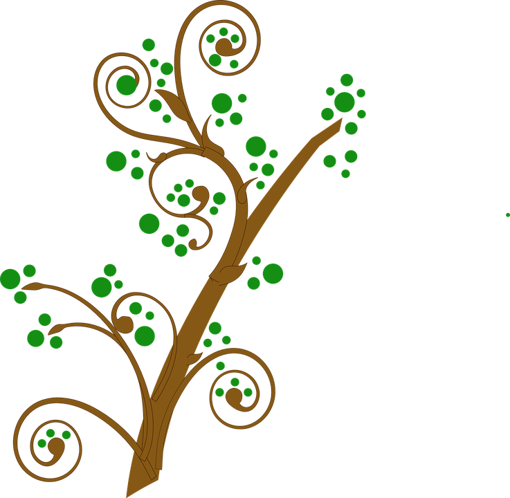 Tree Branch Clipart Png Transparent Png (737x720), Png Download