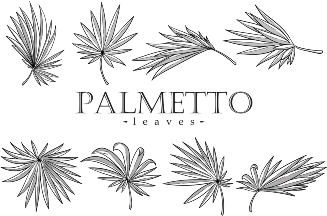 Palmetto Leaves Vector Orangereebok - Palmetto Leaf Clipart (700x490), Png Download