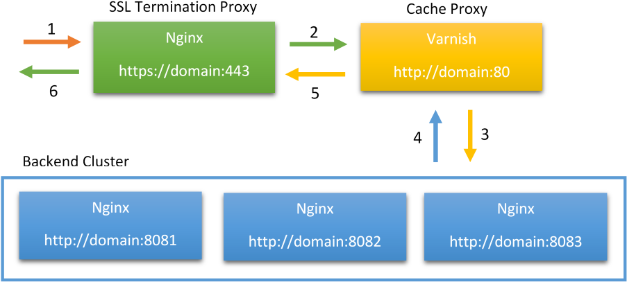 Ssl Termination Scheme - Varnish Nginx Clipart (1000x475), Png Download