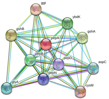 Circle Clipart (976x384), Png Download