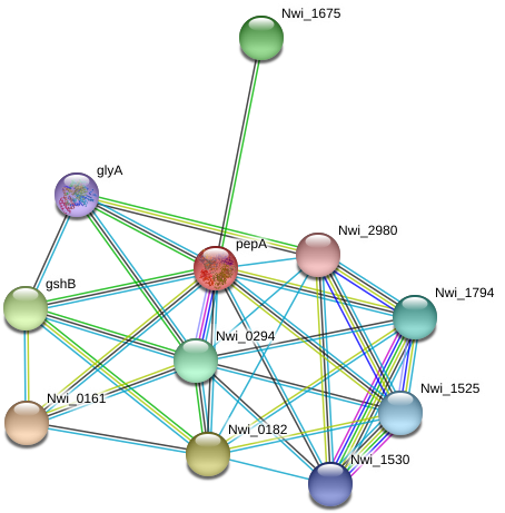 Circle Clipart (976x496), Png Download