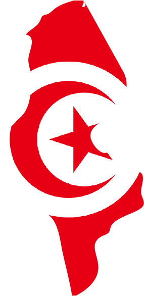 Country Profile - Tunisia Flag Clipart (600x600), Png Download