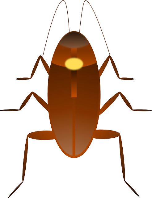 Bug Cockroach, Insect, Ugly, Bug - Cockroach Emoji Clipart (492x640), Png Download