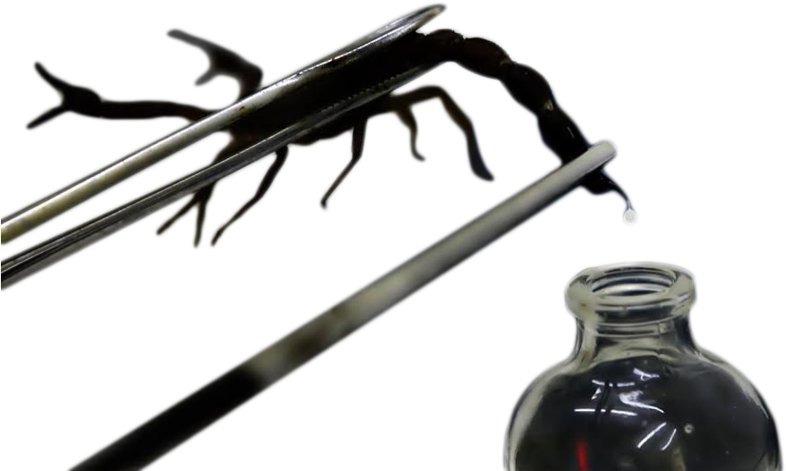 Veneno - Scorpion Venom Clipart (920x596), Png Download