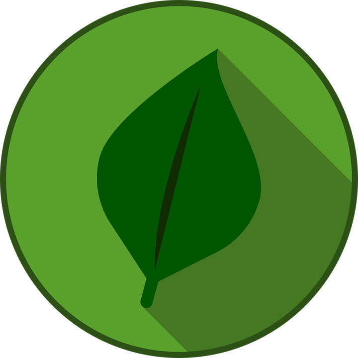 Pokemon Type Element Design Symbol Sign Icon - Pokemon Tipo Planta ...