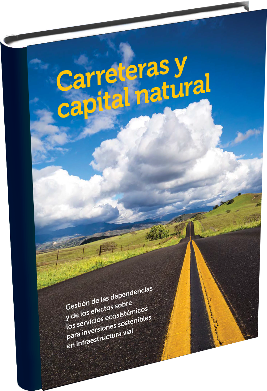 Carreteras Y Ecosistemas - Flyer Clipart (880x1288), Png Download