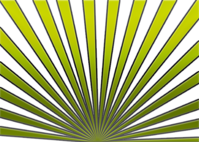 Efeito Verde, Lda , Png Download - Saw Palmetto Clipart (700x500), Png Download