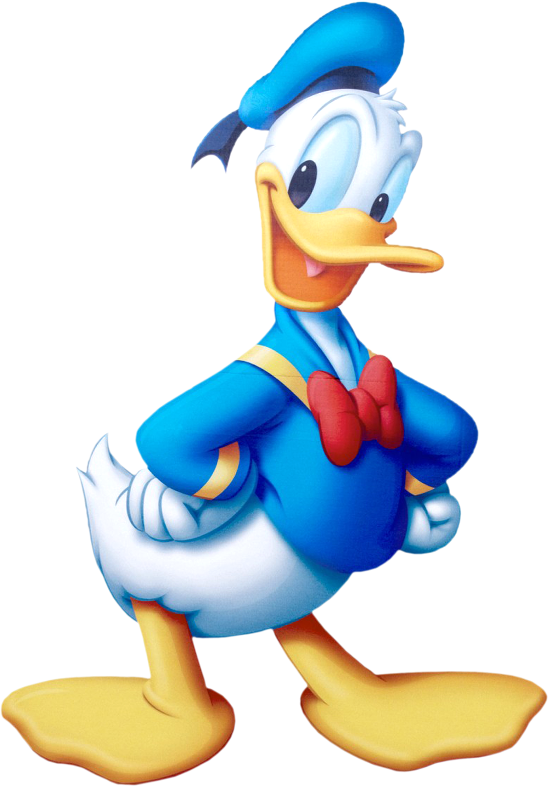 Pin Pato Donald Y Daysi Tattoo On Pinterest Disney - Donald From Mickey Mouse Clubhouse Clipart (1153x1600), Png Download