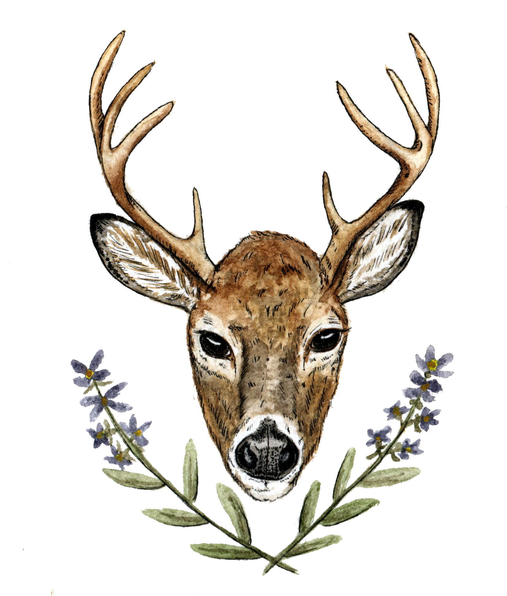 Cassie & Craighorse Camp Weddingeganville, On - Deer Wedding Png Clipart (1722x2228), Png Download