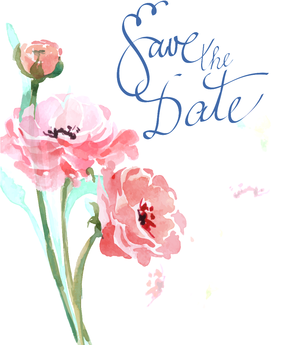Hand Painted Watercolor Peony Flower Painting Decorative - Watercolor Painting Clipart (1025x1179), Png Download