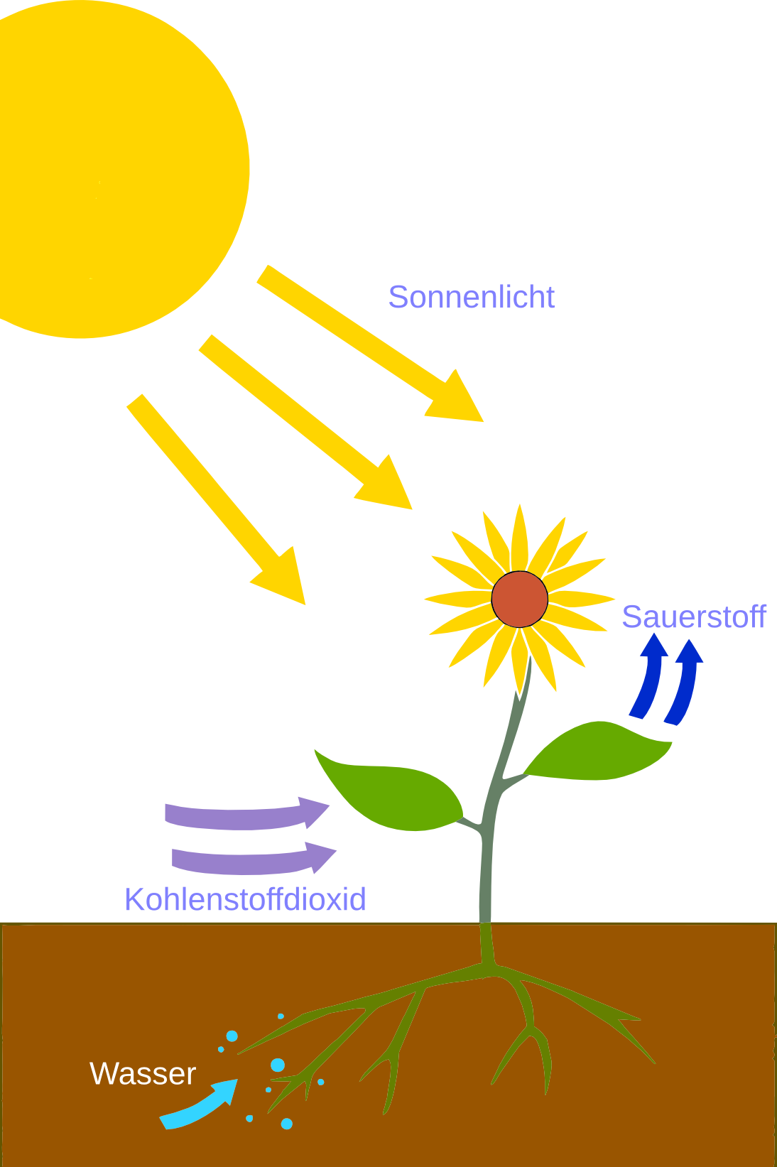 File - Photosynthesis - De - Wikimedia Commons - Transparent Photosynthesis Png Clipart (1094x1643), Png Download