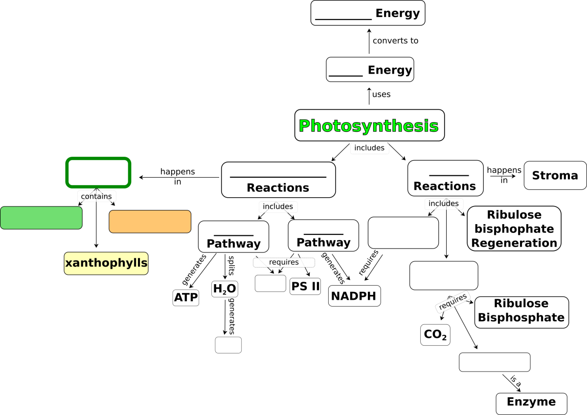 Concept Map For Photosynthesis - Photosynthesis Concept Pdf Clipart (1200x850), Png Download