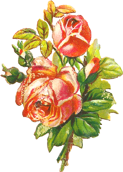 Free Flower Clip Art - Clip Art - Png Download (607x757), Png Download